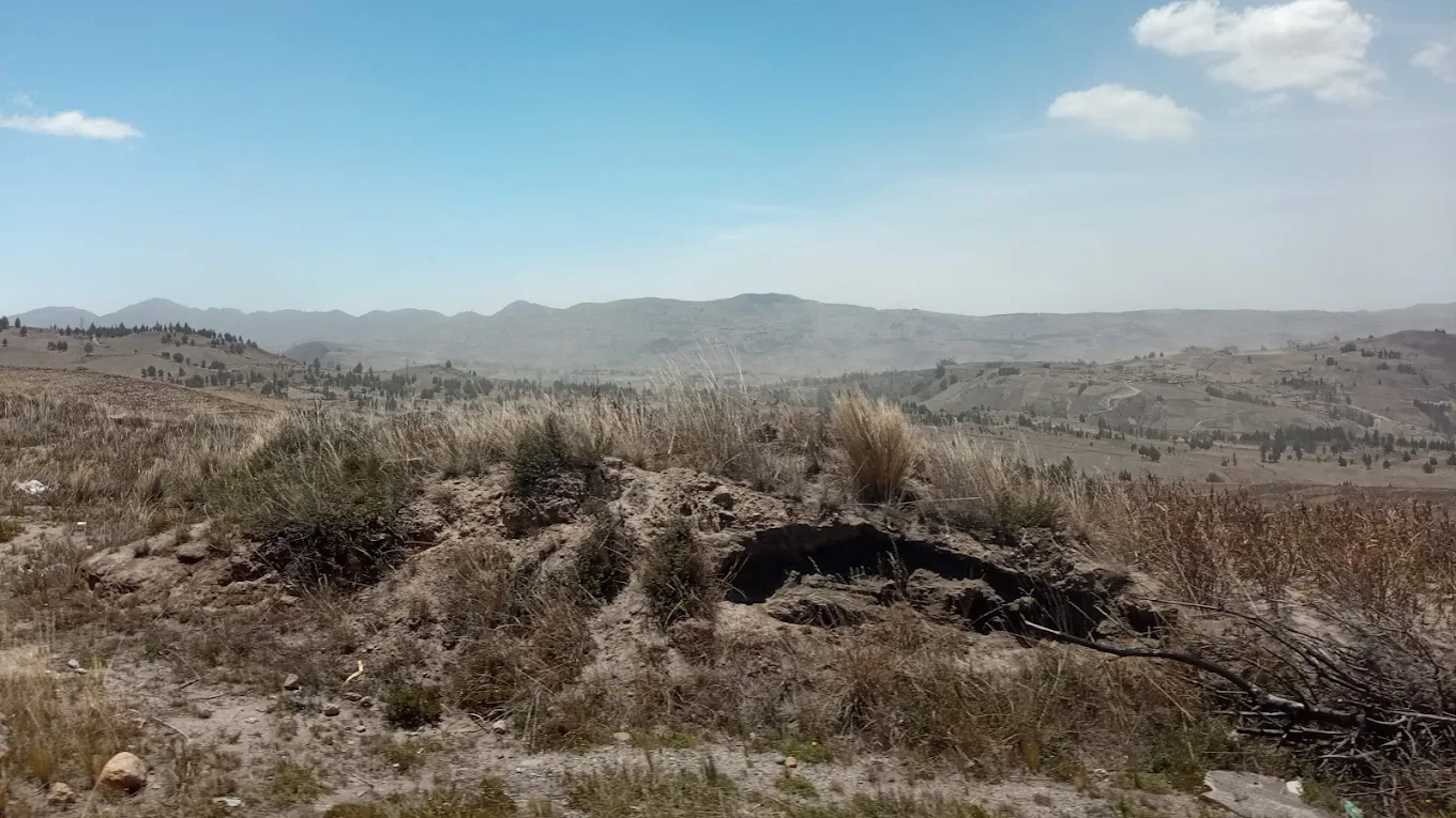 Imagen de referencia de Páramos y comunidades de Palmira