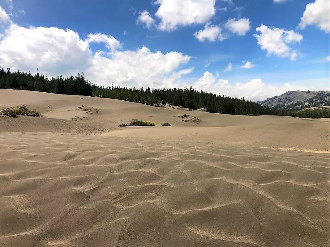 Desierto de Palmira, Chimborazo